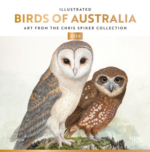 Illustrated Birds of Australia 2026 Square