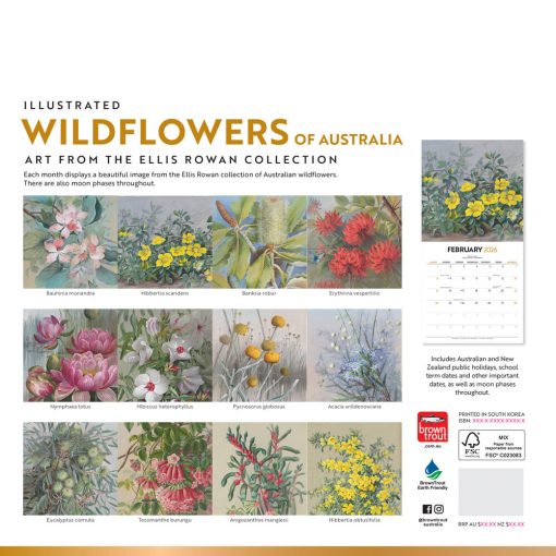 Illustrated Wildflowers of Australia 2026 Square