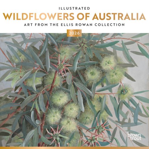 Illustrated Wildflowers of Australia 2026 Square