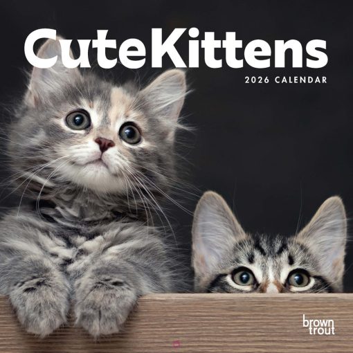 Cute Kittens 2026 Square