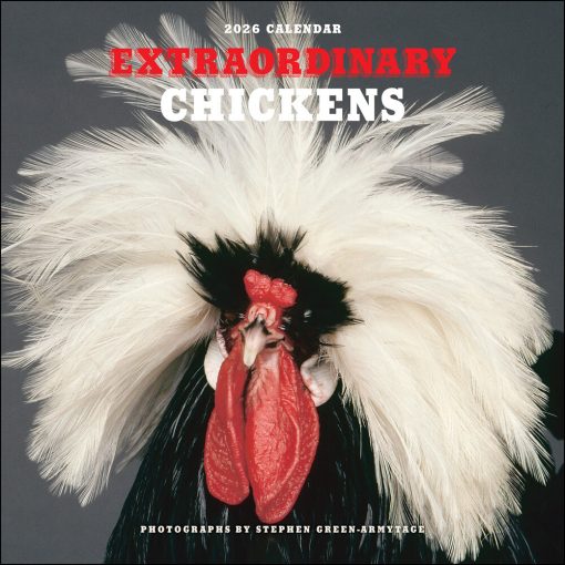 Extraordinary Chickens 2026 Square