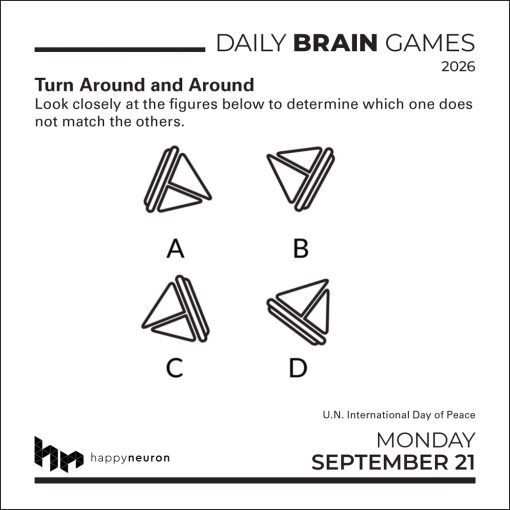 Daily Brain Games 2026 Boxed