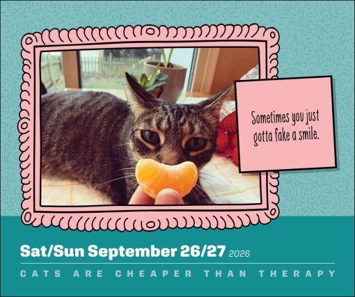 Cats are cheaper than therapy 2026 Boxed