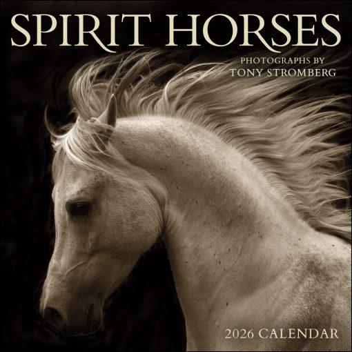 Spirit Horses 2026 Square By Tony Stromberg